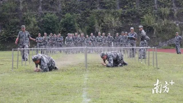 开平市人武部组织民兵开展穿越障碍训练。受访者供图 图片