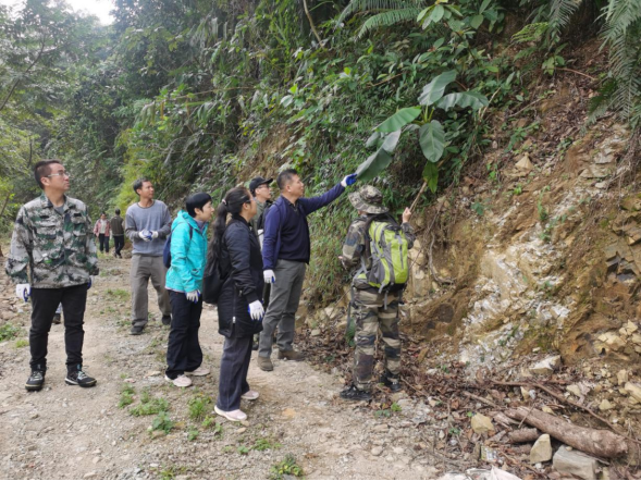 250106加强种质资源保护,夯实生态文明基础——江门市自然资源局召开种质资源调查考察现场会 (1).png