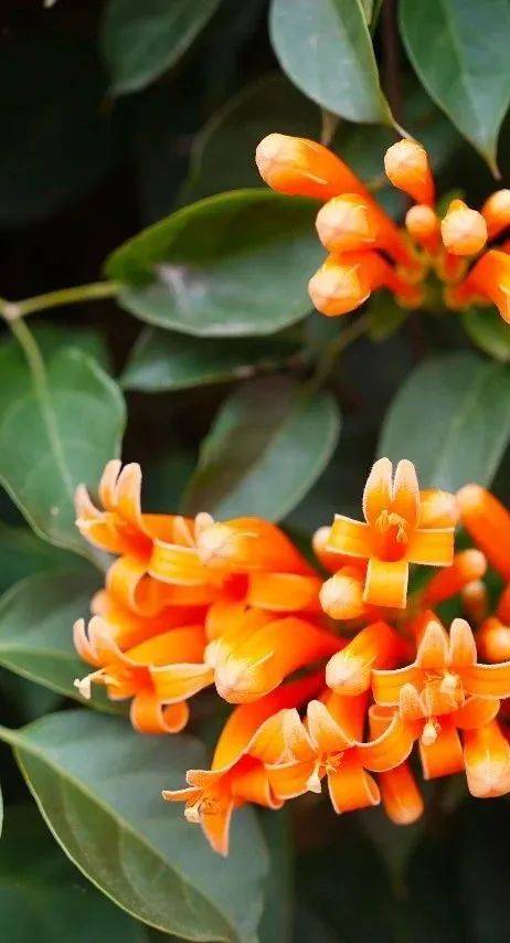 冯铭军 摄 冯铭军 摄