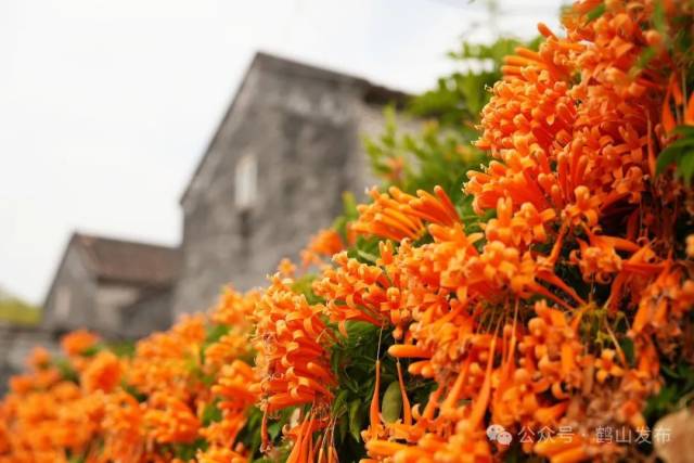 冯铭军 摄 冯铭军 摄