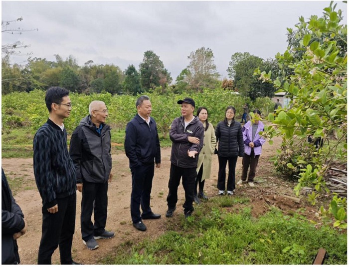 3.12.6省农科院恩平调研.jpg