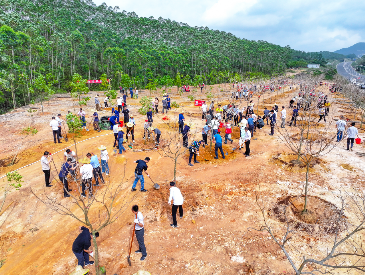 250314江门市开展2025年全省推进绿美广东生态建设暨五级林长植树活动 (4).png