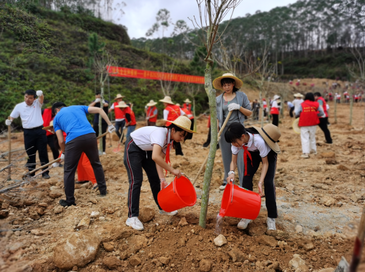 250314江门市开展2025年全省推进绿美广东生态建设暨五级林长植树活动 (7).png