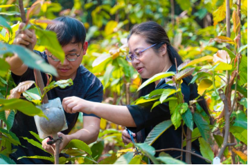 250507扎根林业二十载 科技兴林谱新篇——江门市林科所刘一贞荣获“广东省劳动模范”称号 (2).png