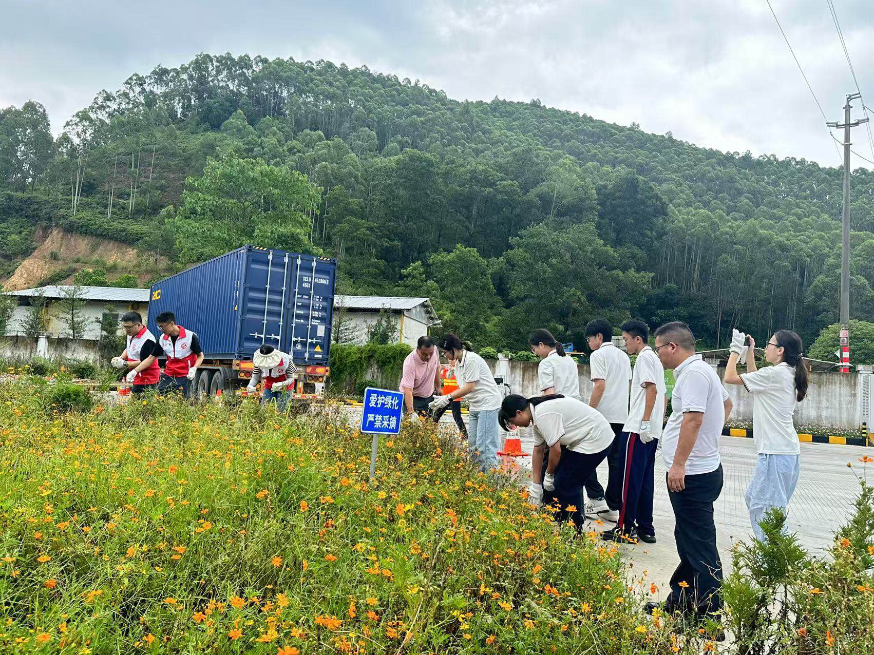 除草志愿活动.jpg