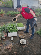 250807防蚊灭蚊，我们在行动——江门市自然资源局开展爱国卫生运动 (1).png