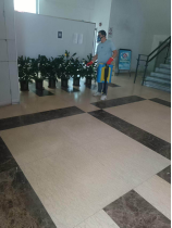 250807防蚊灭蚊，我们在行动——江门市自然资源局开展爱国卫生运动 (10).png