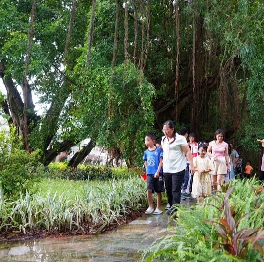 250821江门市自然资源局举办 “古树公园探秘行动” 聚焦绿色古董守护与科普 (17).jpg
