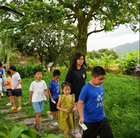 250821江门市自然资源局举办 “古树公园探秘行动” 聚焦绿色古董守护与科普 (21).jpg