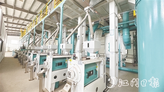 赤水镇水仔口健康食品产业园吸引多家优质企业入驻。图为金箩米业的丝苗米优势特色产业集群项目，目前进入设备调试阶段。