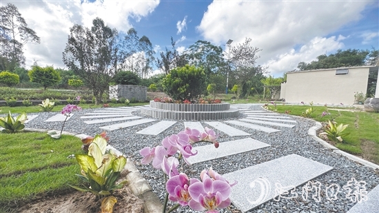 赤水镇羊路村“四小园”绿意盎然。