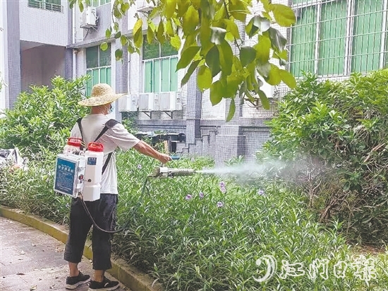 台山发动全市力量，从环境整治、科学消杀到宣传教育，开展一场全域动员、全民参与的防蚊灭蚊攻坚战。