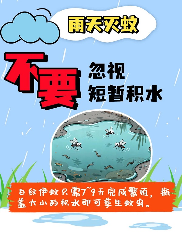 雨天灭蚊5.jpg