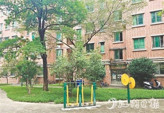 鹤山持续深入开展爱国卫生运动。图为沙坪街道和平社区开展环境整治后，居民生活环境更干净、整洁。