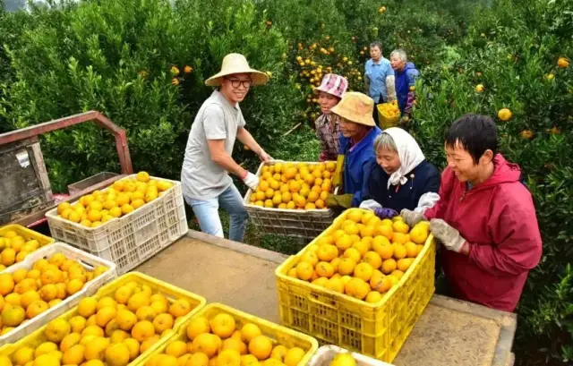 张小玲 摄 张小玲 摄
