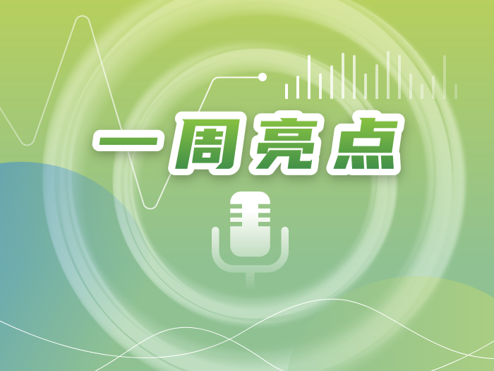 2025年12月19日 逐光而行，向阳成长