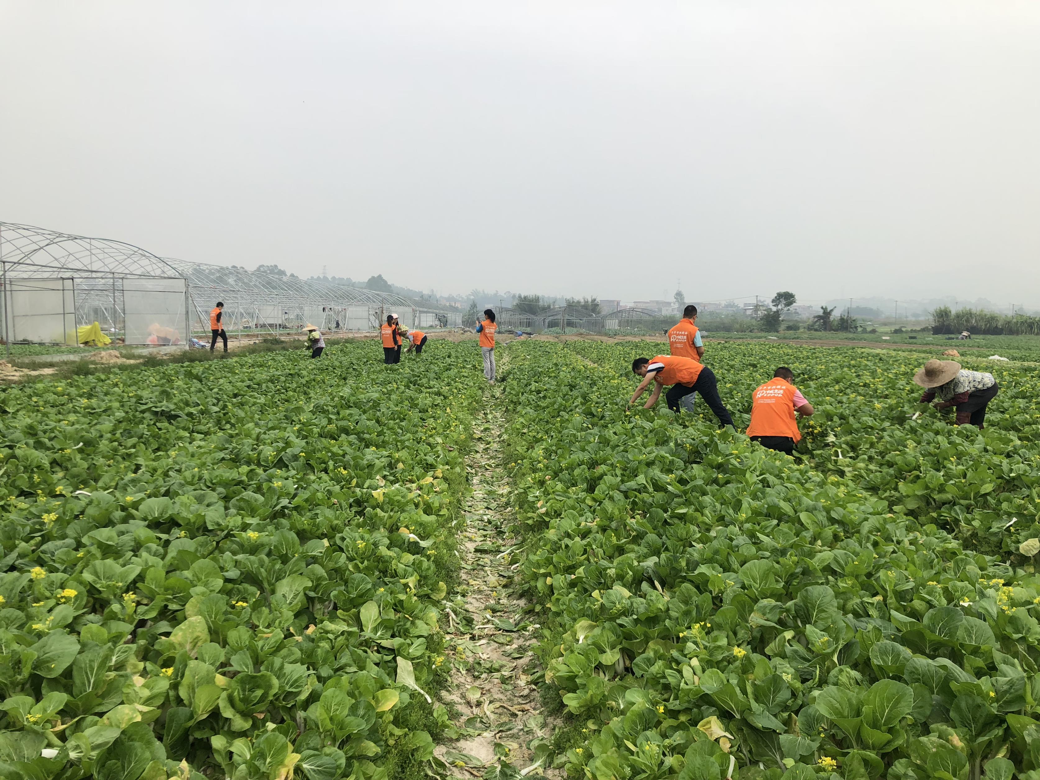 微信图片_2018110916154329 (1).jpg 微信图片_2018110916154329 (1).jpg