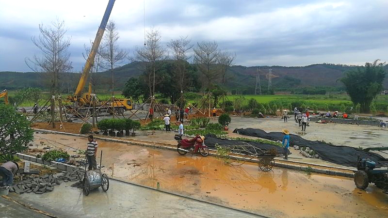 微信图片_20190626153615_看图王.jpg 微信图片_20190626153615_看图王.jpg