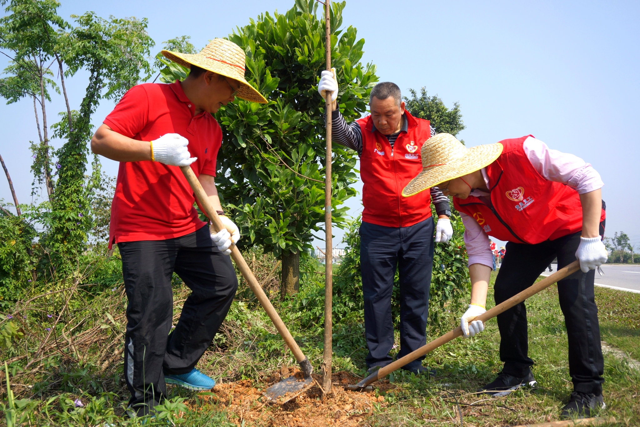 DSC04554_看图王.jpg DSC04554_看图王.jpg