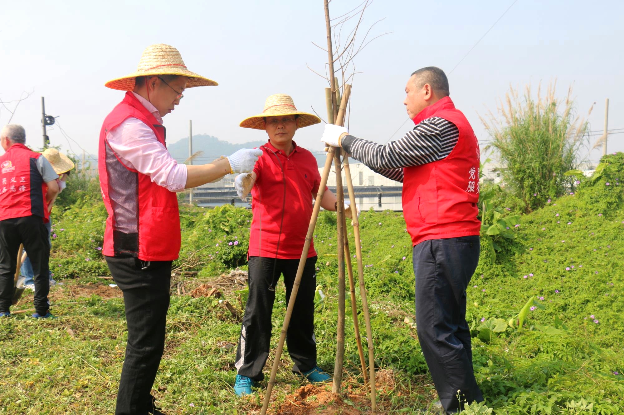 IMG_3271_看图王.jpg IMG_3271_看图王.jpg