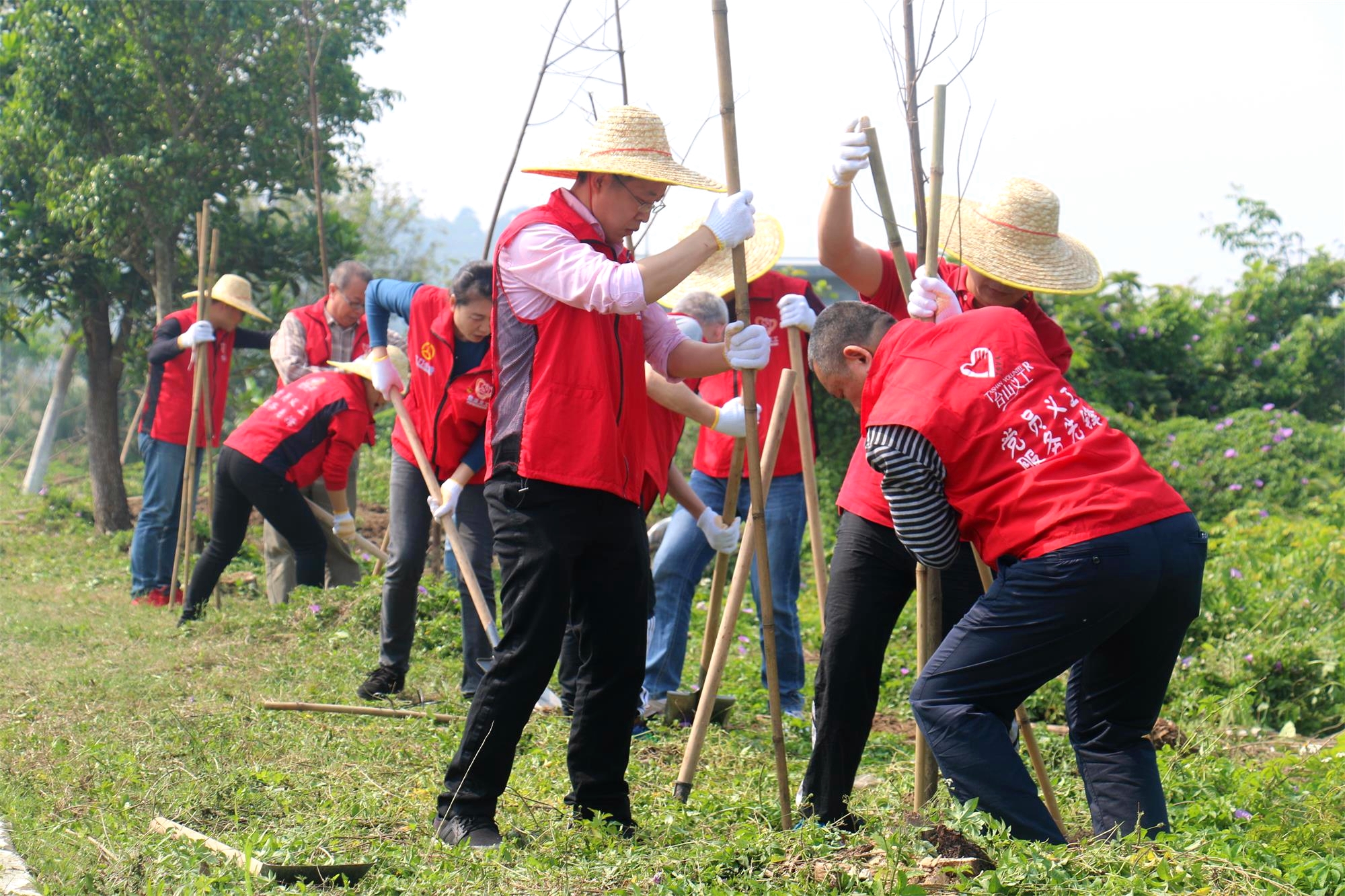 IMG_3269_看图王.jpg IMG_3269_看图王.jpg