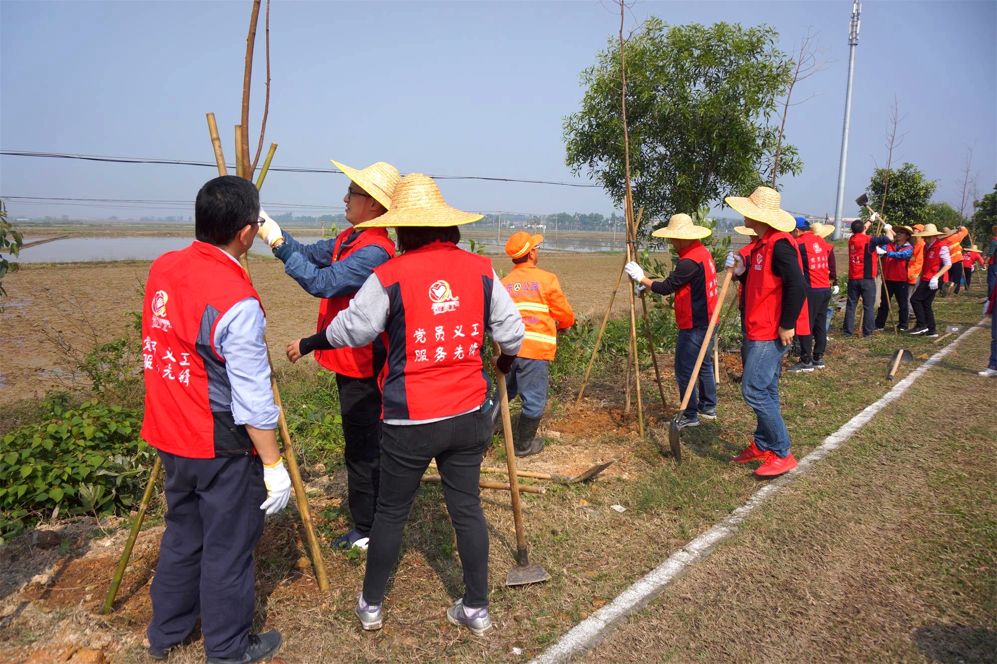 DSC04471_看图王.jpg DSC04471_看图王.jpg