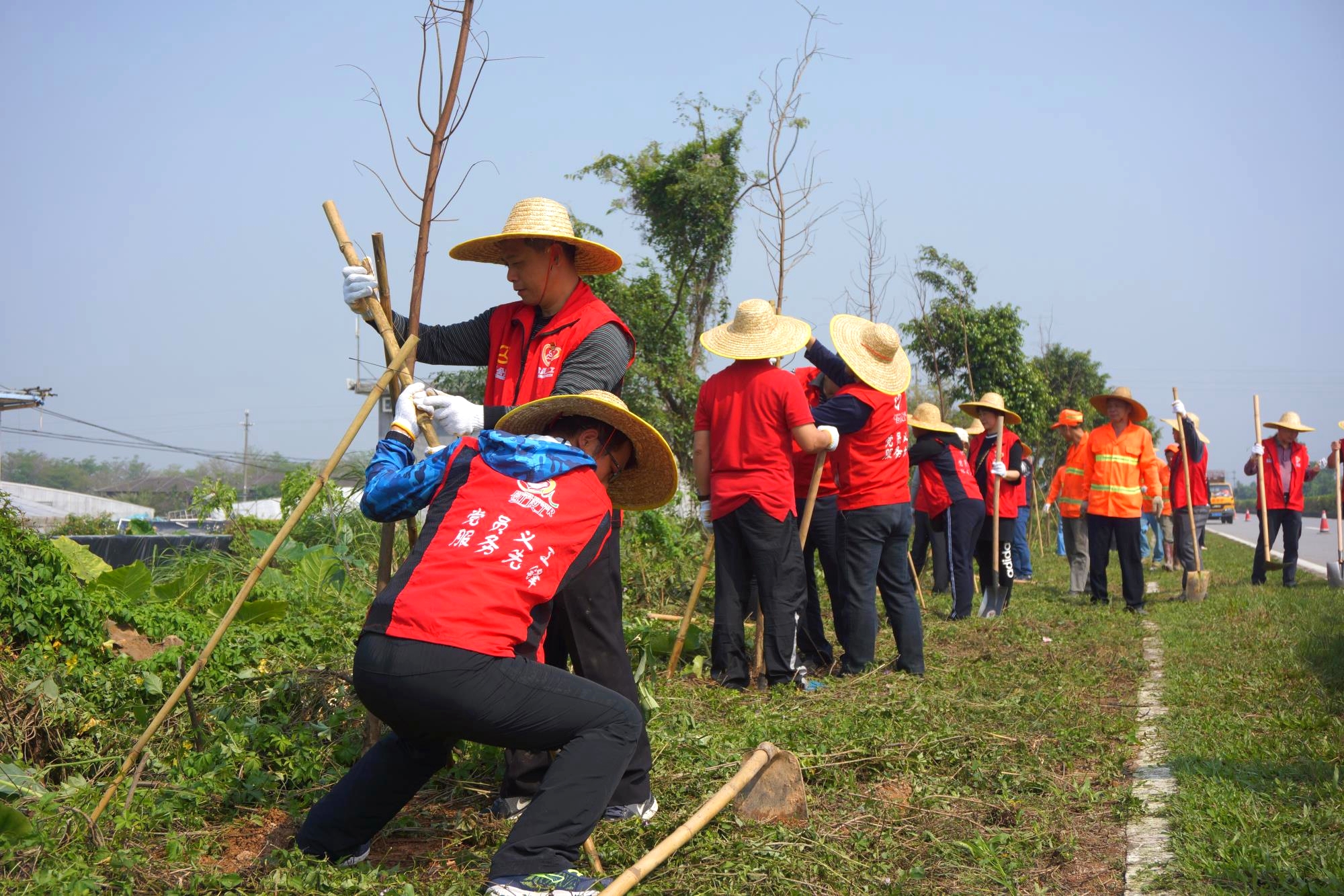 DSC04536_看图王.jpg DSC04536_看图王.jpg