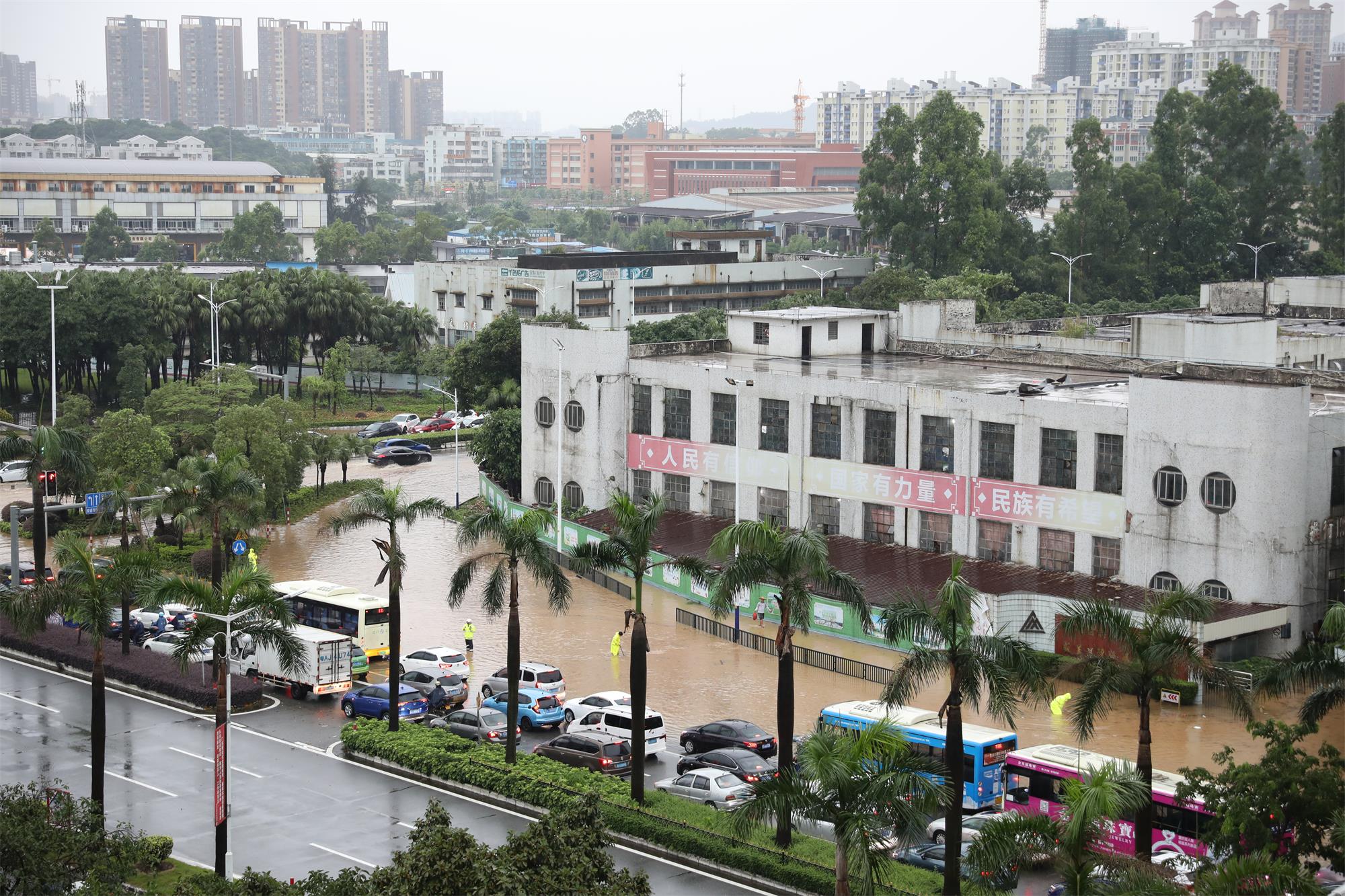 264A1056.jpg 264A1056.jpg