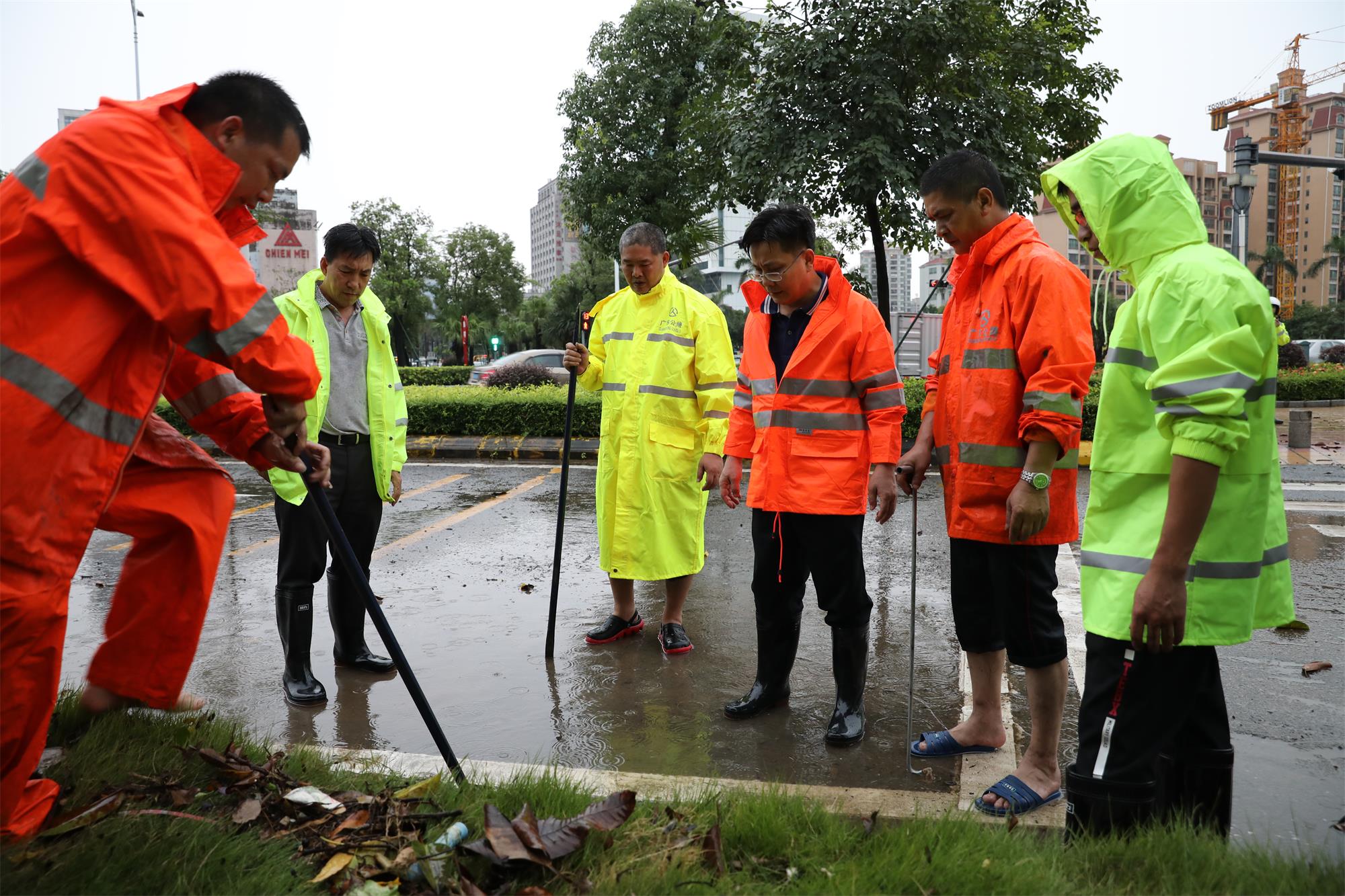 264A1139.jpg 264A1139.jpg