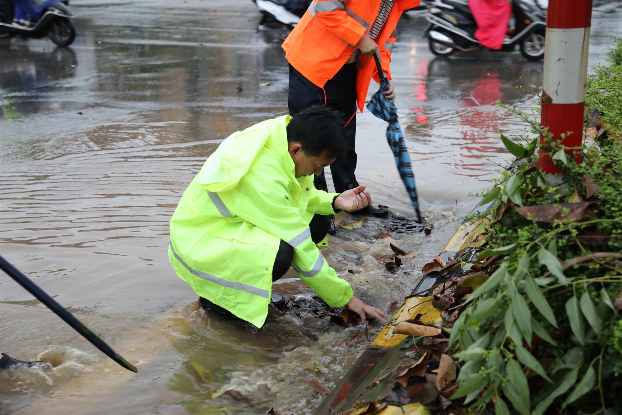 264A1063.jpg 264A1063.jpg