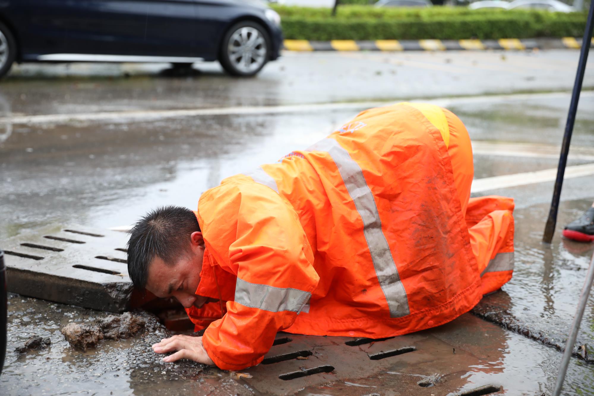 264A1118.jpg 264A1118.jpg