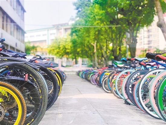 校园里,整齐摆放的自行车,本身就是一道靓丽风景线。 校园里,整齐摆放的自行车,本身就是一道靓丽风景线。