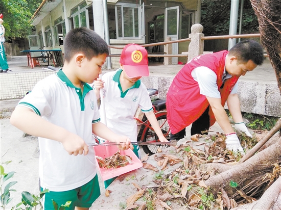 大小志愿者联手清理花圃里的落叶。 大小志愿者联手清理花圃里的落叶。