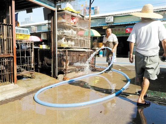 蓬江区耙冲市场,档主用水管冲刷铁笼及档位,造成市场内地面大面积湿滑。 蓬江区耙冲市场,档主用水管冲刷铁笼及档位,造成市场内地面大面积湿滑。
