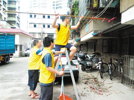 志愿者同心协力清理卫生死角。江门日报特约摄影师 志愿者同心协力清理卫生死角。江门日报特约摄影师