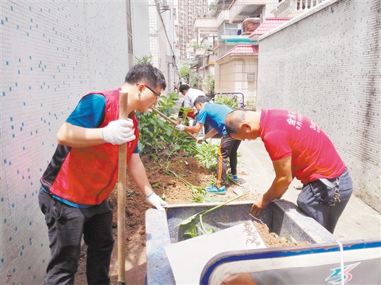 石冲社区党员干部清理杂乱花草。 石冲社区党员干部清理杂乱花草。