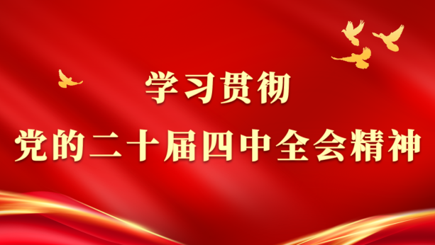 学习贯彻党的二十届四中全会精神